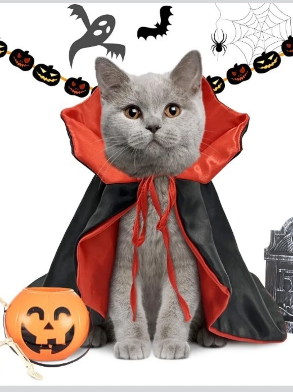 CAT HALLOWEEN COSTUME VAMPIRE CLOAK WIZARD OUTFIT COSPLAY CAPE